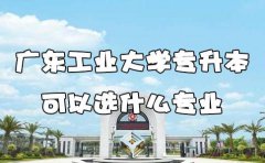 四川工业大学专升本可以选什么专业