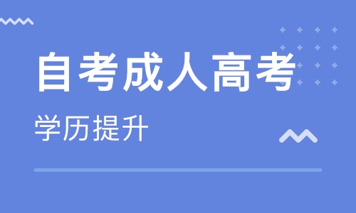 成人自学考试