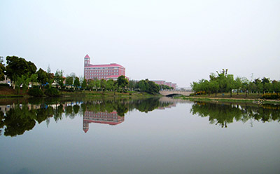 2019年10月份绵阳自考《护理学》考试课程安排(图1)